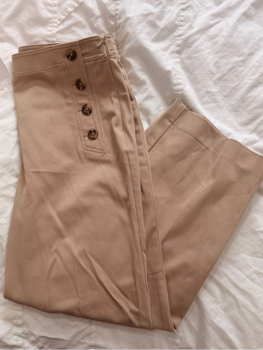 Ann Taylor Pants NWT